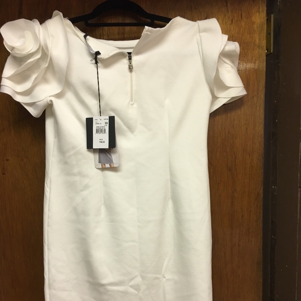 Maternity